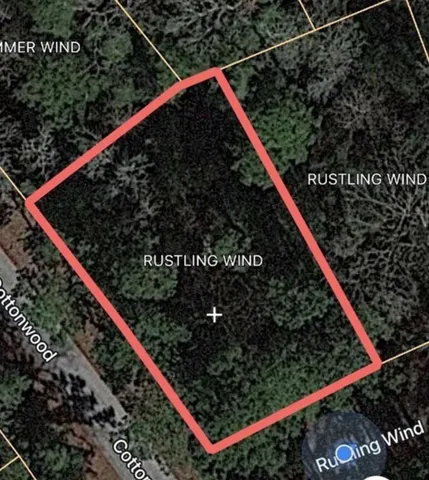 a view of a forest with lots of trees