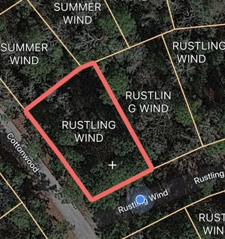 a view of a forest with trees