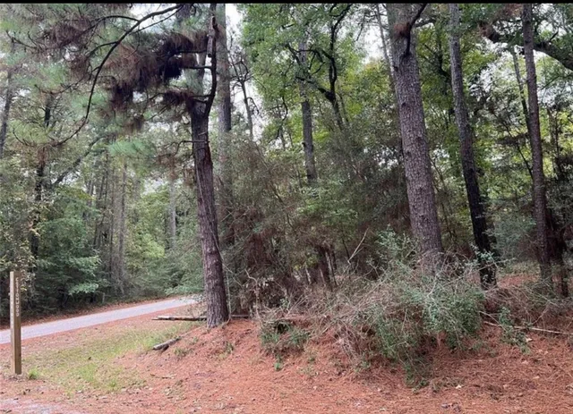 $1,000 | Tbd Rustling Wind Street, Trinity, TX 75862