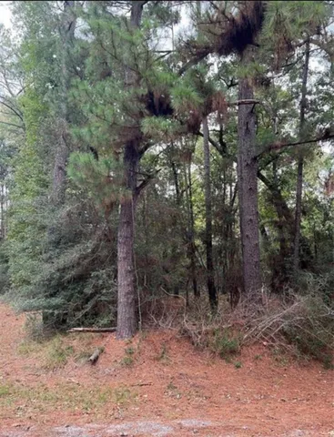 $1,000 | Tbd Rustling Wind Street, Trinity, TX 75862