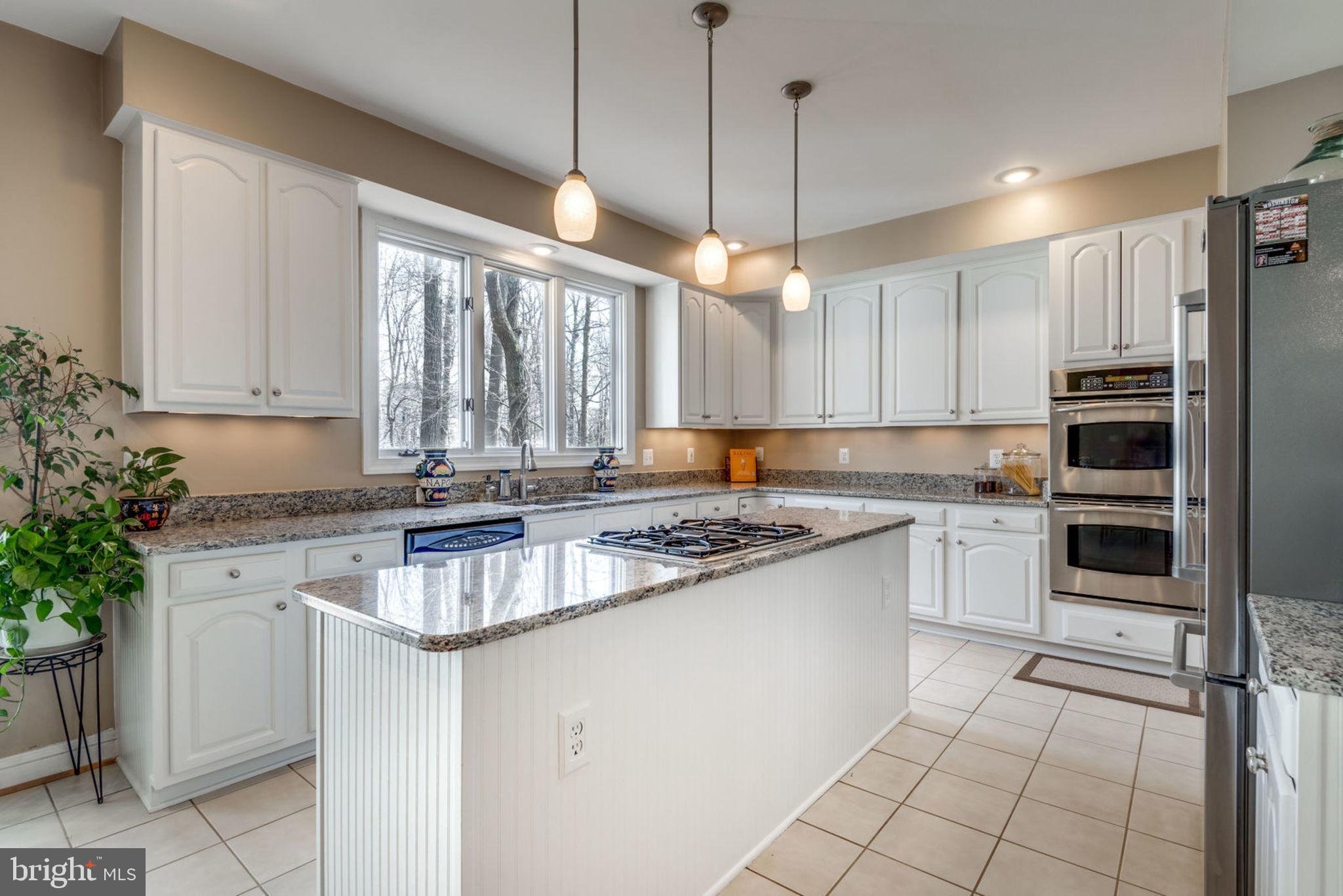 11261 Center Harbor Road Reston, VA 20194 - Photo 19 of 51 Granite, SS appliances and white cabinets