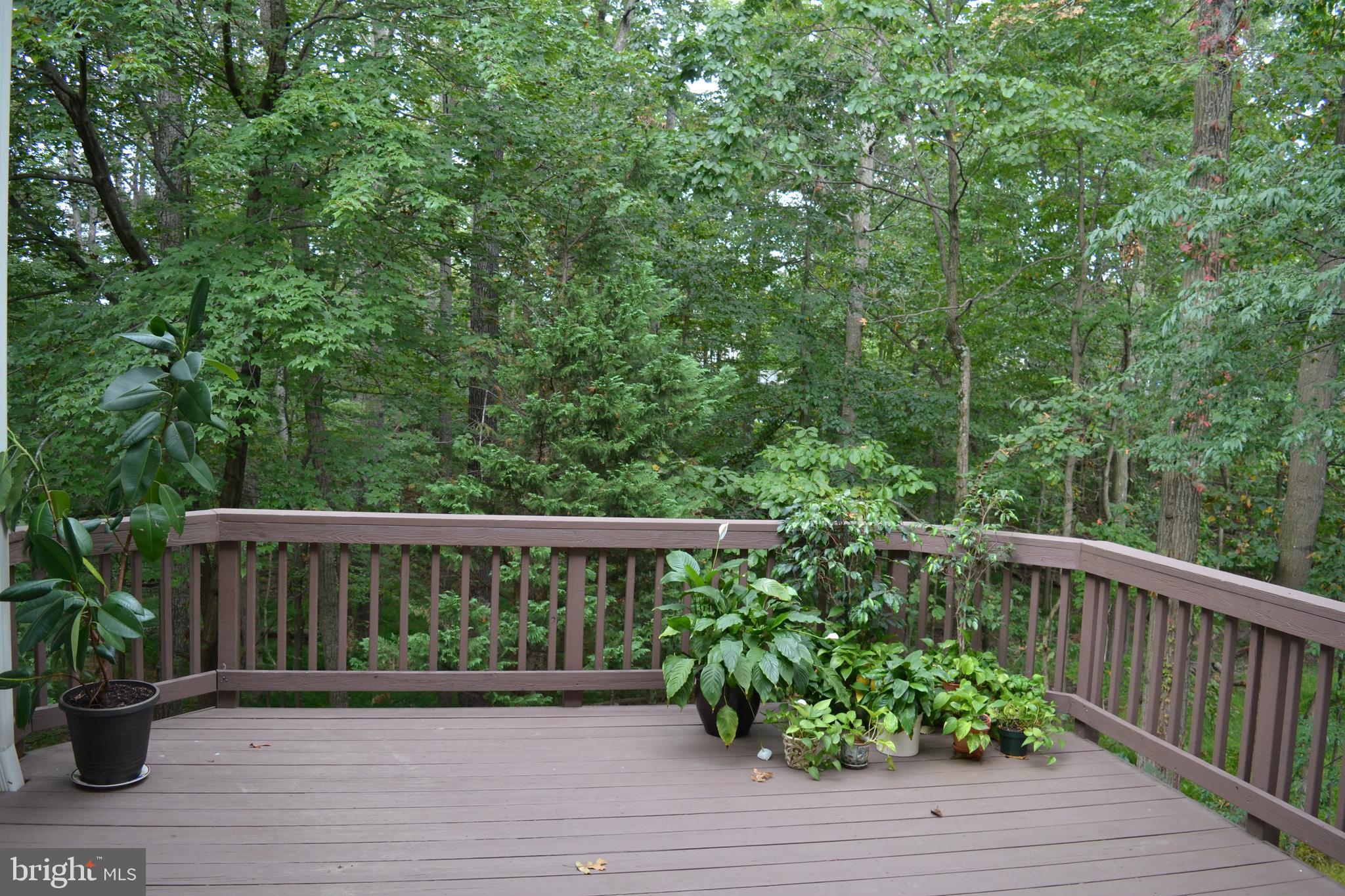 11261 Center Harbor Road Reston, VA 20194 - Photo 43 of 51 A lovely spot for morning coffee