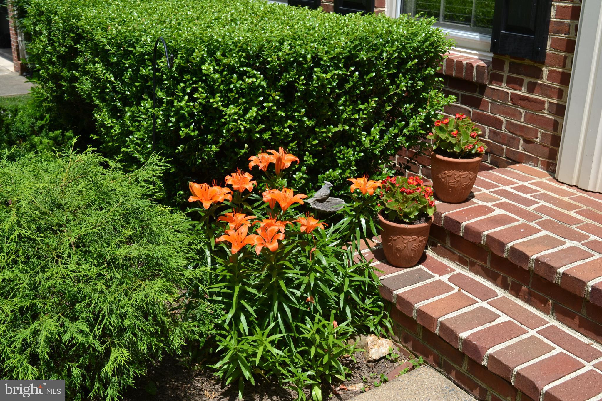11261 Center Harbor Road Reston, VA 20194 - Photo 44 of 51 Beautiful color!