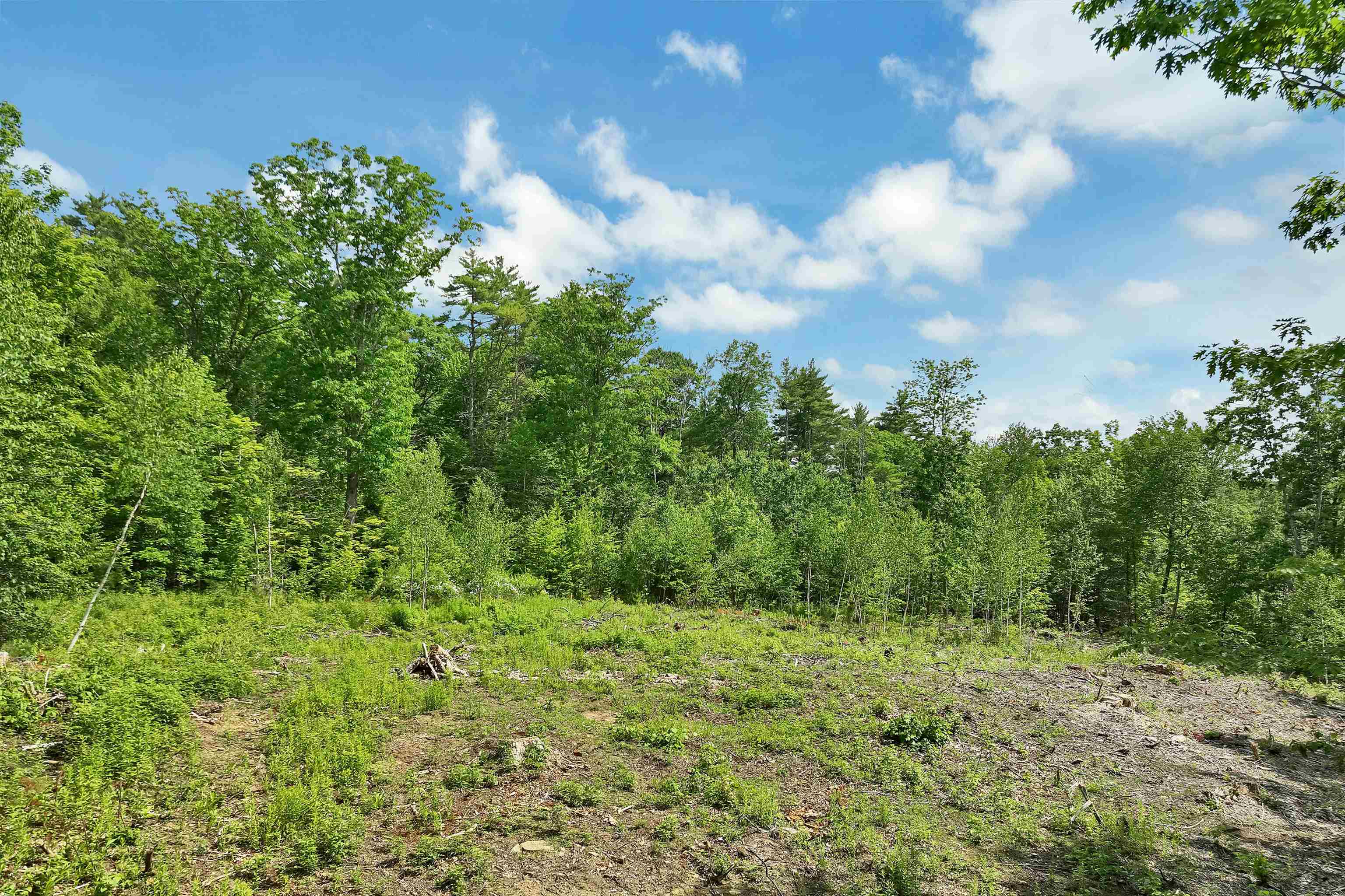 40 Lowden Road Barnstead, NH 03225 - Photo 9 of 34