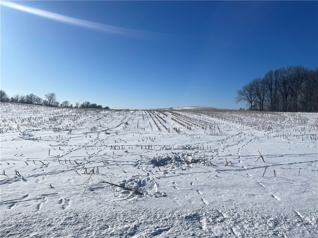 0 200th Street Centuria, WI 54824 - Photo 1 of 1 Gallery Image 1