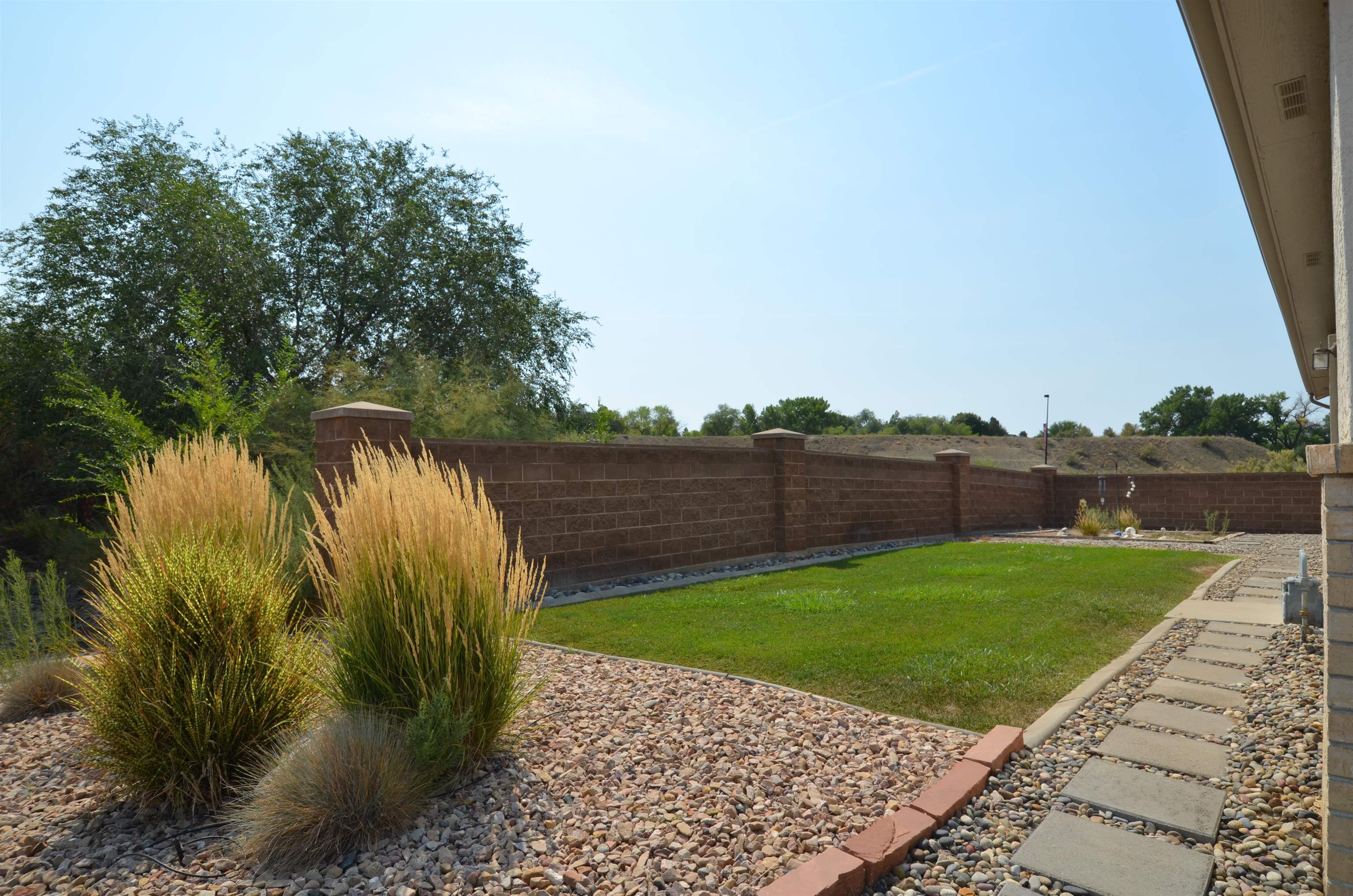 1459 Racquet Way Grand Junction, CO 81506 - Photo 4 of 42 a view of a backyard with plants and palm trees