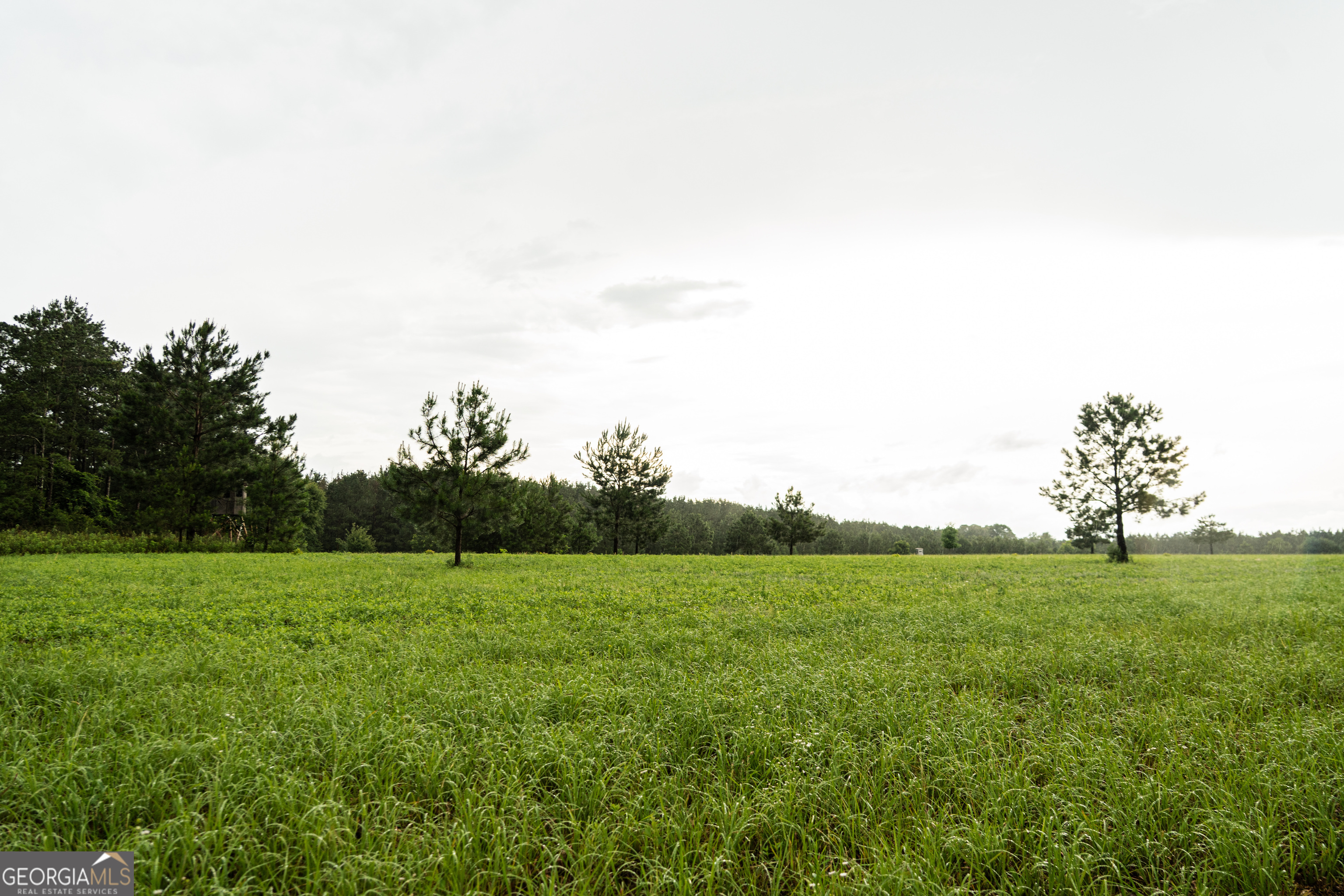 990 Highway 49 Americus, GA 31719 - Photo 88 of 121