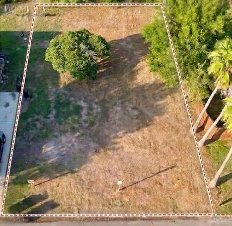 a picture of yard