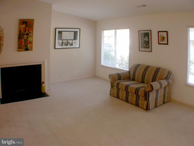 14931 Hydrus Road Silver Spring, MD 20906 - Photo 1 of 24 Wood-Burning Fireplace
