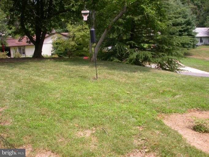 14931 Hydrus Road Silver Spring, MD 20906 - Photo 11 of 24 Side Lawn of 10,175 sq ft Corner Lot