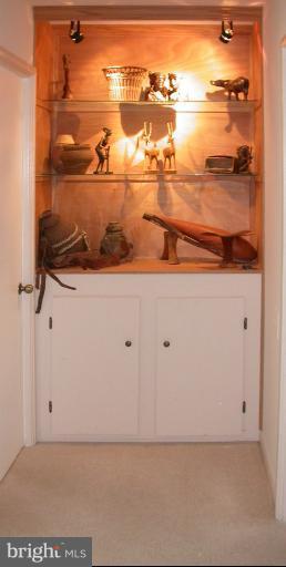 14931 Hydrus Road Silver Spring, MD 20906 - Photo 17 of 24 Lighted Display Space at Hallway