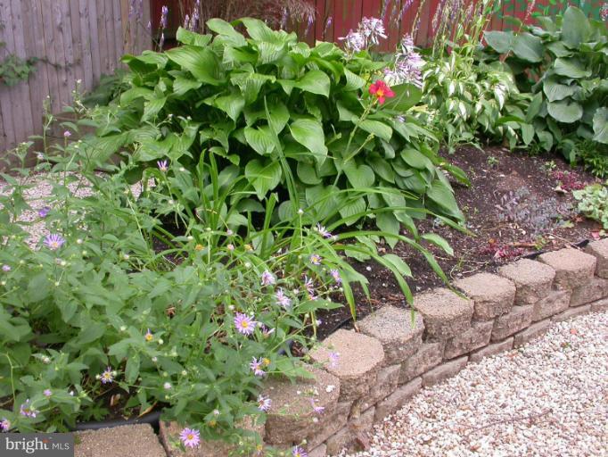 14931 Hydrus Road Silver Spring, MD 20906 - Photo 19 of 24 Raised Bed Planters