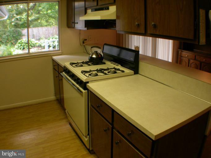 14931 Hydrus Road Silver Spring, MD 20906 - Photo 3 of 24 Light Filled Workspace