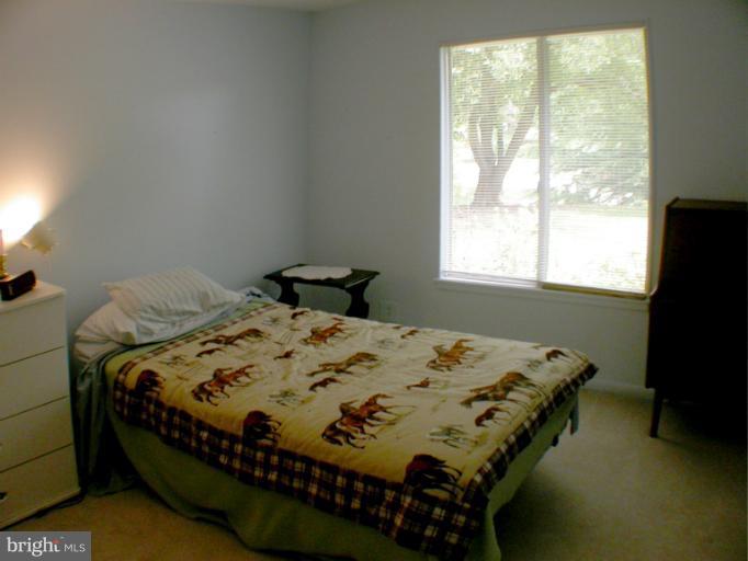 14931 Hydrus Road Silver Spring, MD 20906 - Photo 22 of 24 Bedroom 3