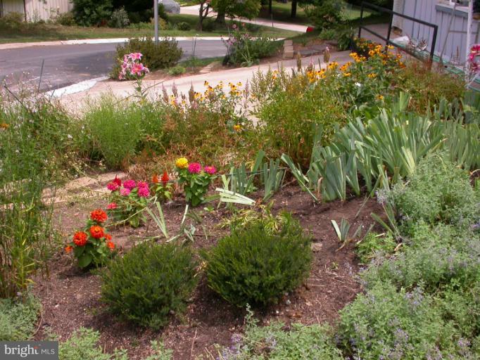 14931 Hydrus Road Silver Spring, MD 20906 - Photo 5 of 24 Colorful Perennials