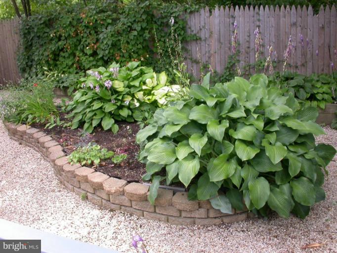 14931 Hydrus Road Silver Spring, MD 20906 - Photo 10 of 24 Raised Bed Planters