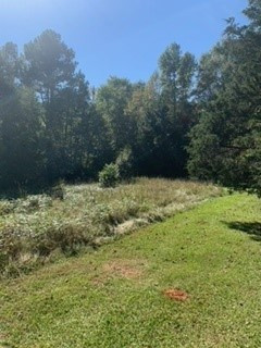 1062 Mallorysville Road Tignall, GA 30668 - Photo 3 of 8