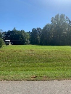 1062 Mallorysville Road Tignall, GA 30668 - Photo 8 of 8