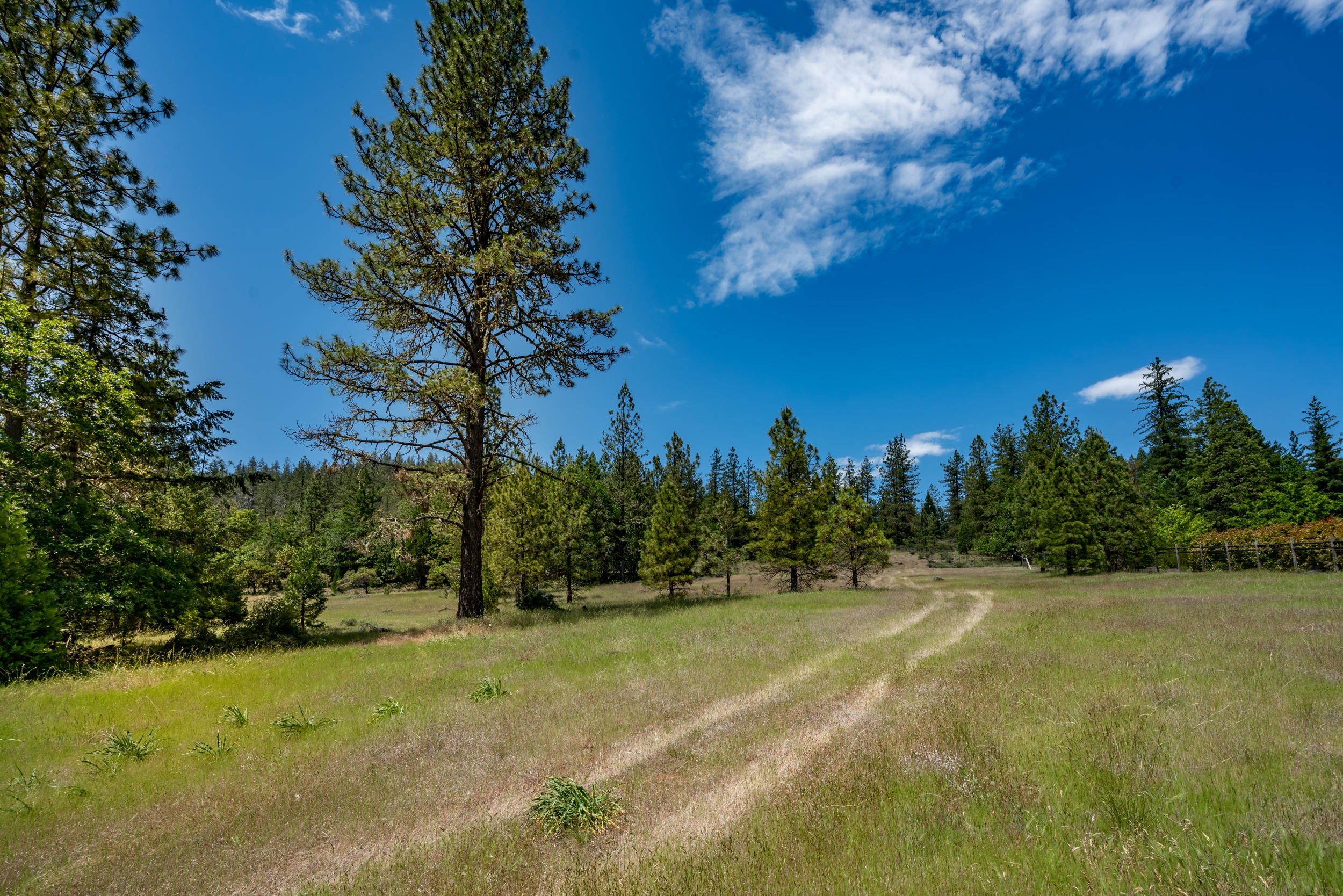 355 Naturescape Road Grants Pass, OR 97527 - Photo 55 of 59 Naturescape (53)