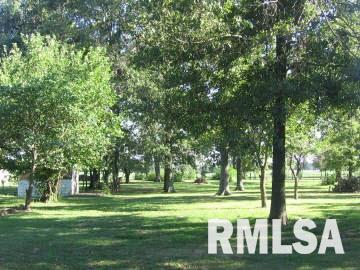 1006 Rt 15 Street Ashley, IL 62808 - Photo 2 of 12