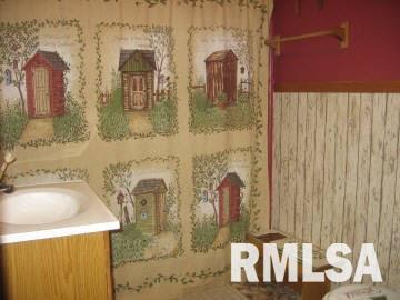 1006 Rt 15 Street Ashley, IL 62808 - Photo 5 of 12