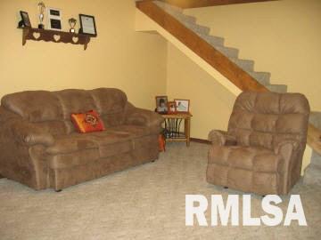 1006 Rt 15 Street Ashley, IL 62808 - Photo 8 of 12