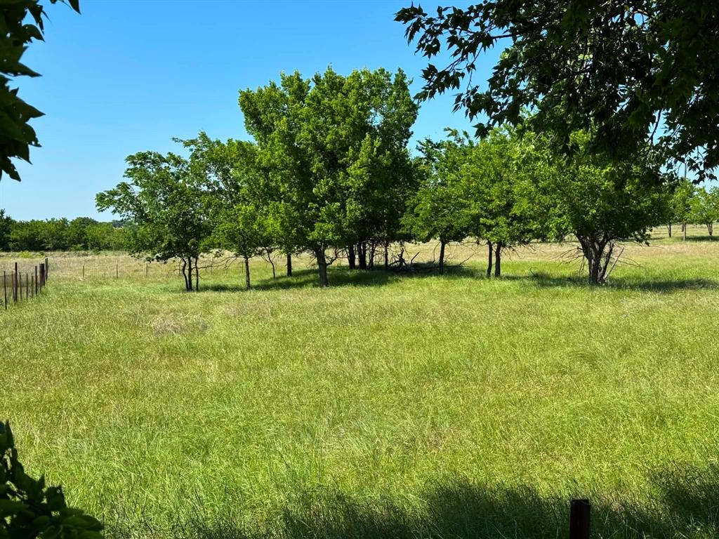 4444 Belz Road Sanger, TX 76266 - Photo 2 of 13 a view of three trees in a yard
