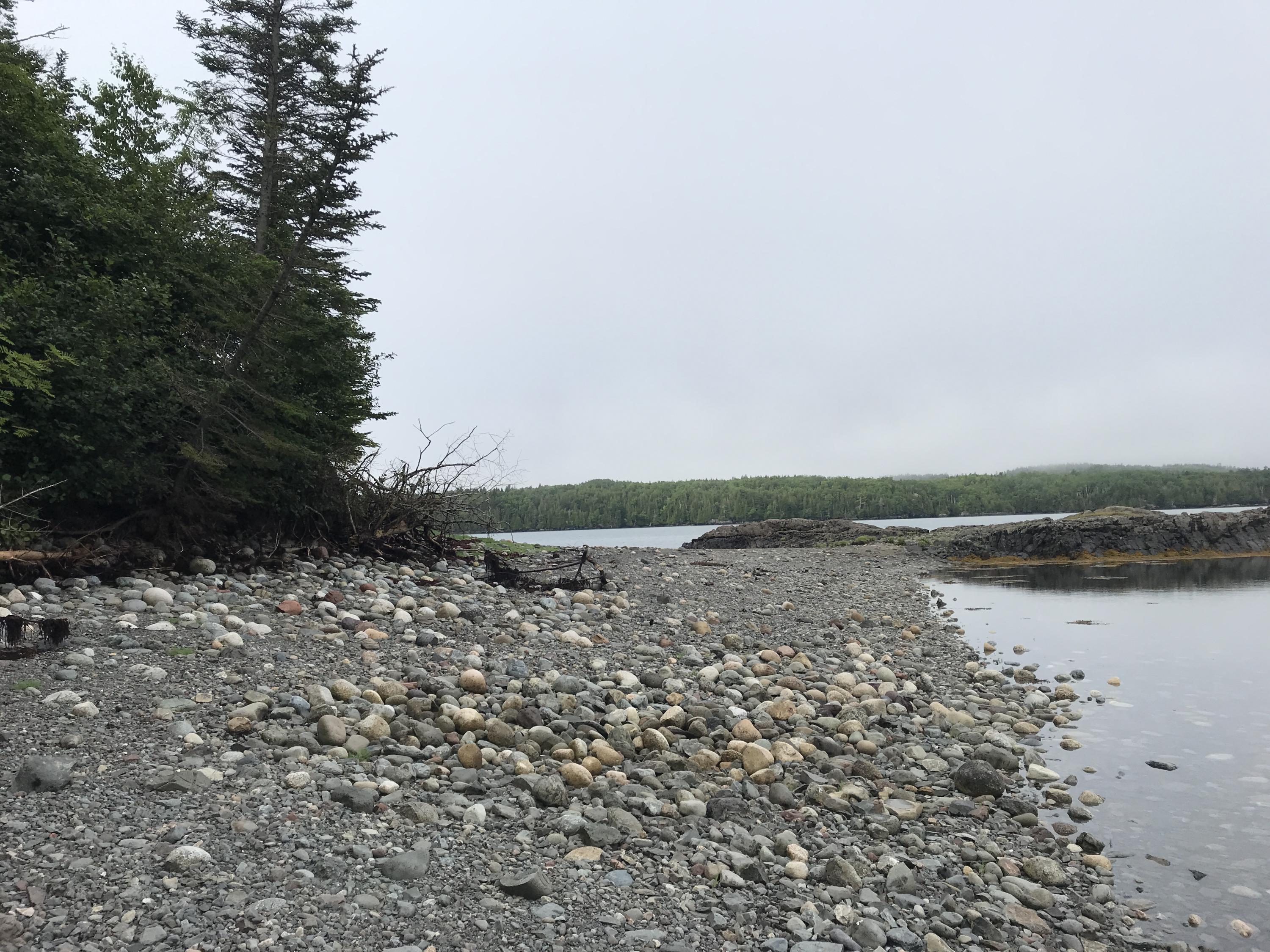 488 North Lubec Road Lubec, ME 04652 - Photo 104 of 120 IMG_1740