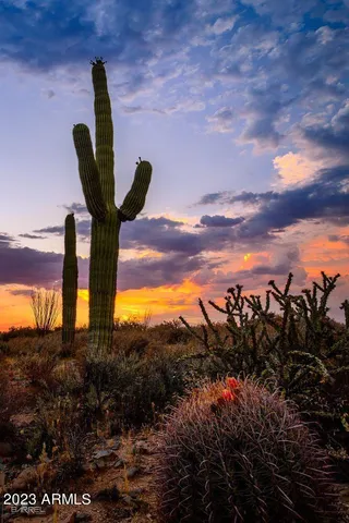 $625,000 | 0 East Southern Avenue, Gold Canyon, AZ 85119