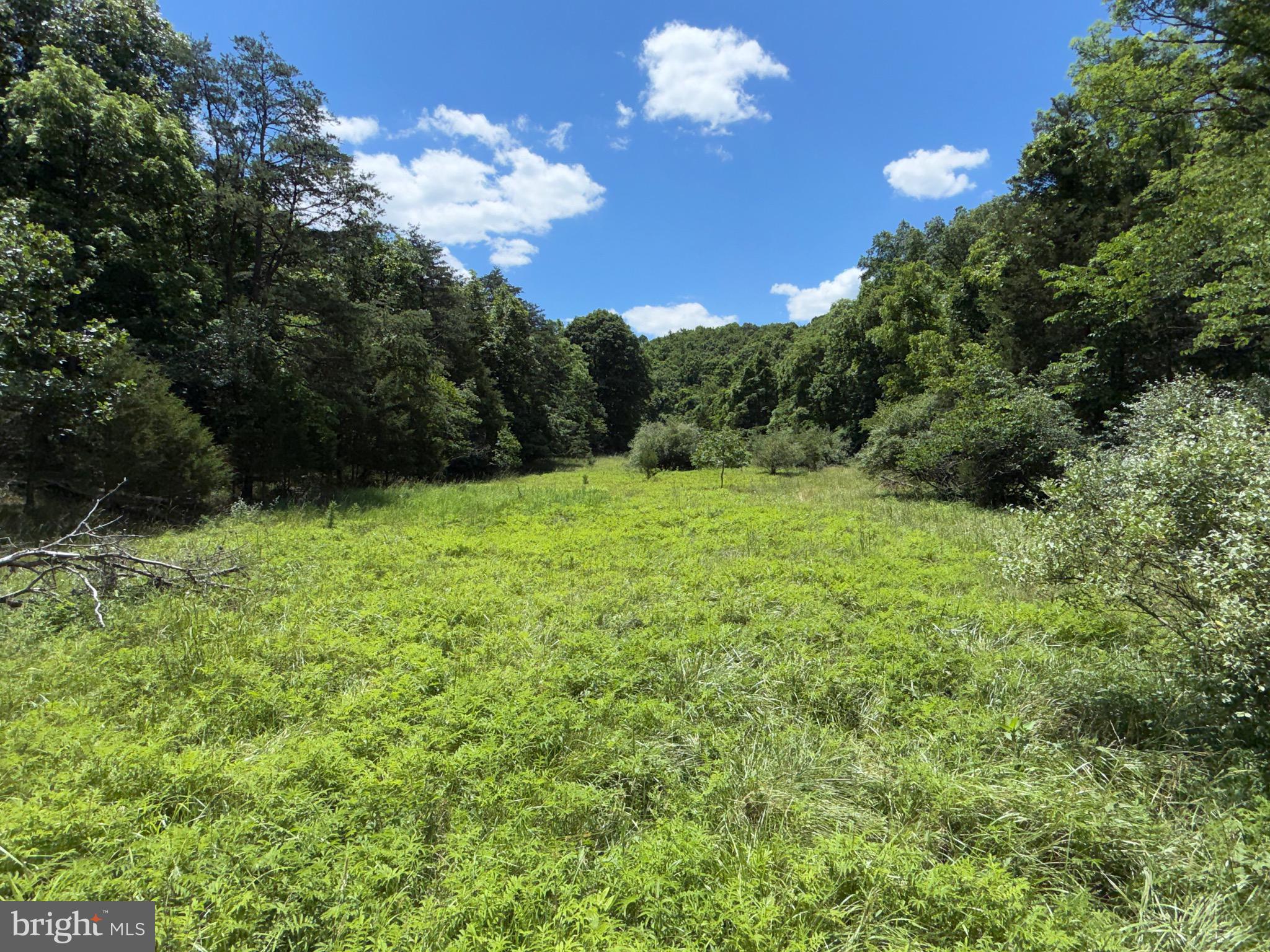 511 Chickadee Road Purgitsville, WV 26852 - Photo 30 of 99