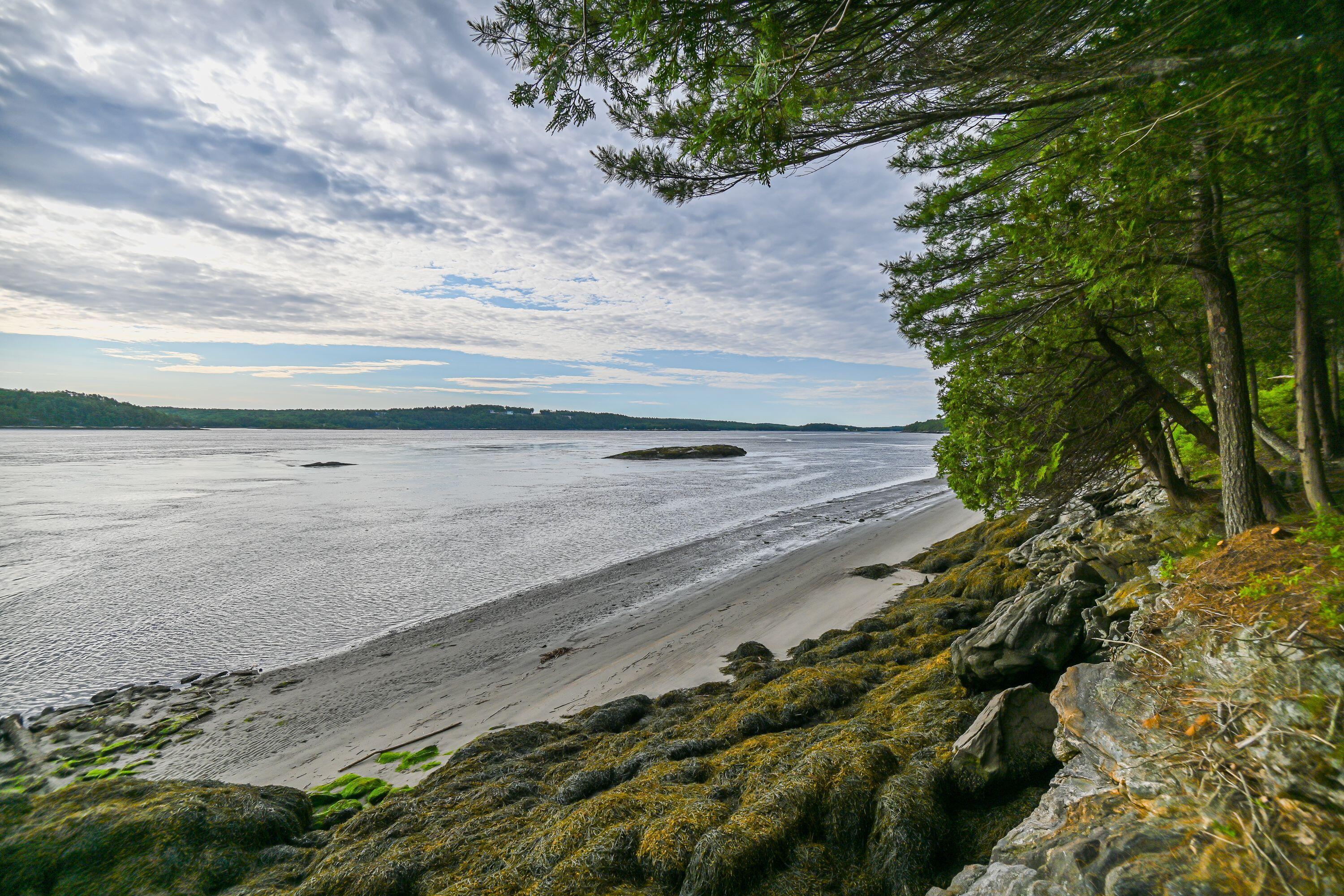 8 Kennebec Shores Road Phippsburg, ME 04562 - Photo 10 of 13 Shoreline Kennebec Shores