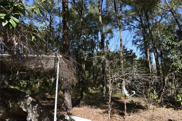 $3,450 | 2406 Southwest 98 Drive, Gainesville, FL 32608