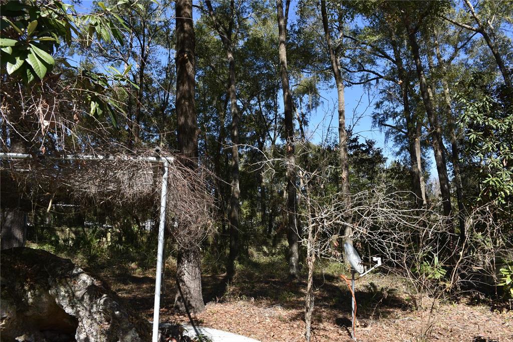 2406 Southwest 98 Drive Gainesville, FL 32608 - Photo 44 of 47