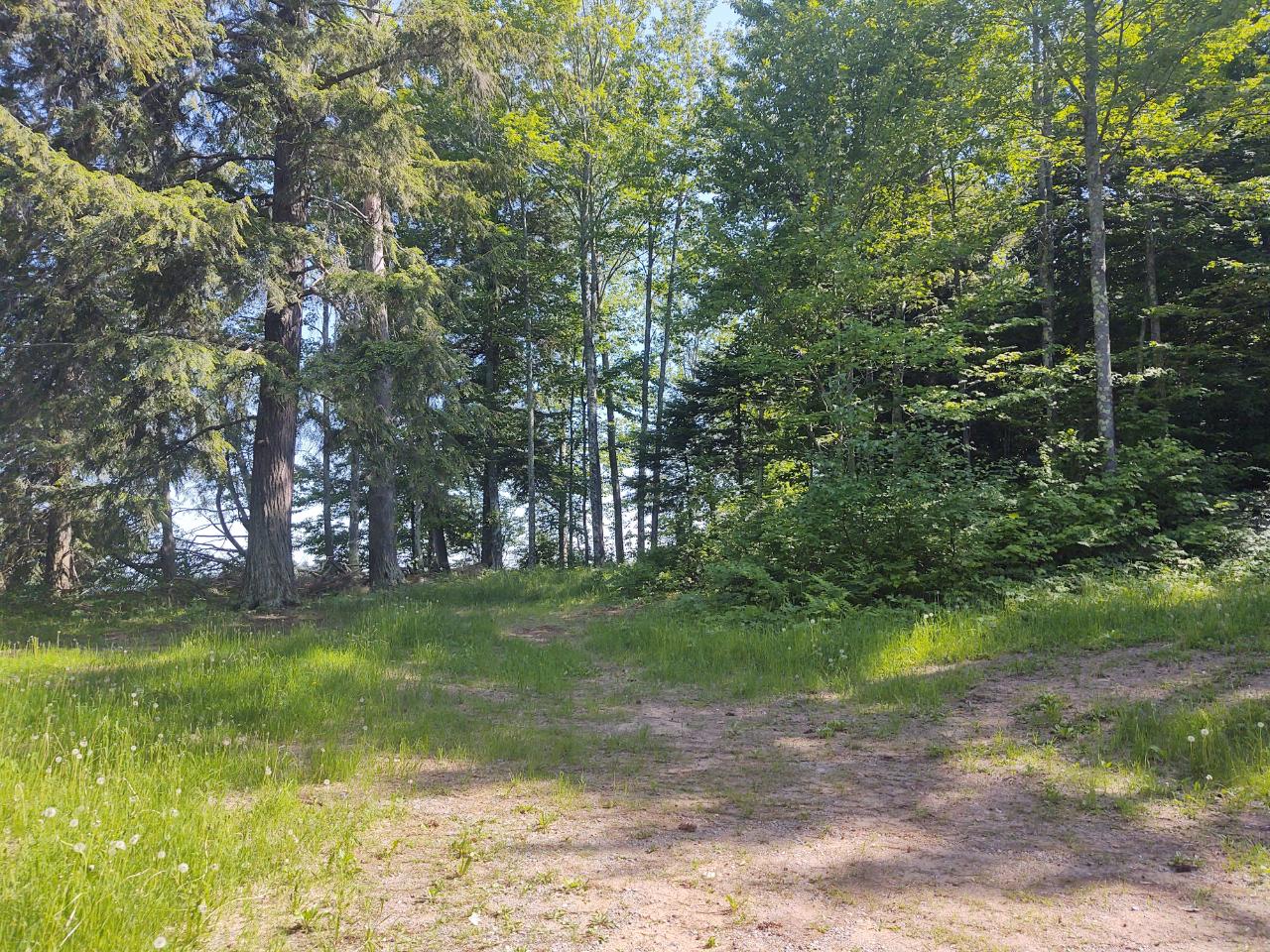 2 Rd Three Lakes Three Lakes, WI 54562 - Photo 4 of 10 Gallery Image 4