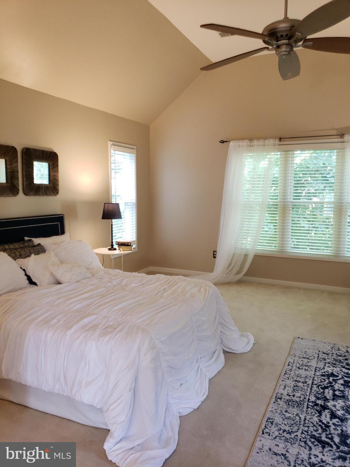2043 Beacon Place Reston, VA 20191 - Photo 15 of 30 Master Suite; Vaulted Ceiling
