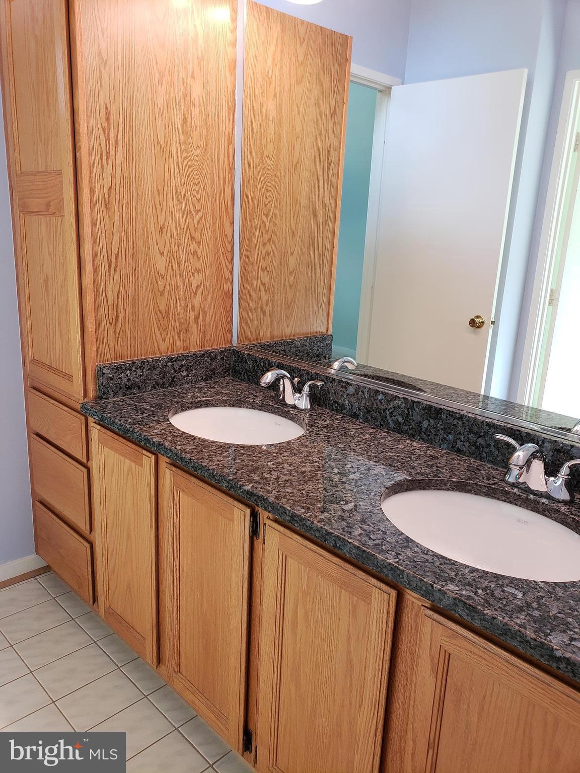 2043 Beacon Place Reston, VA 20191 - Photo 20 of 30 Upper Level Jack and Jill Bath
