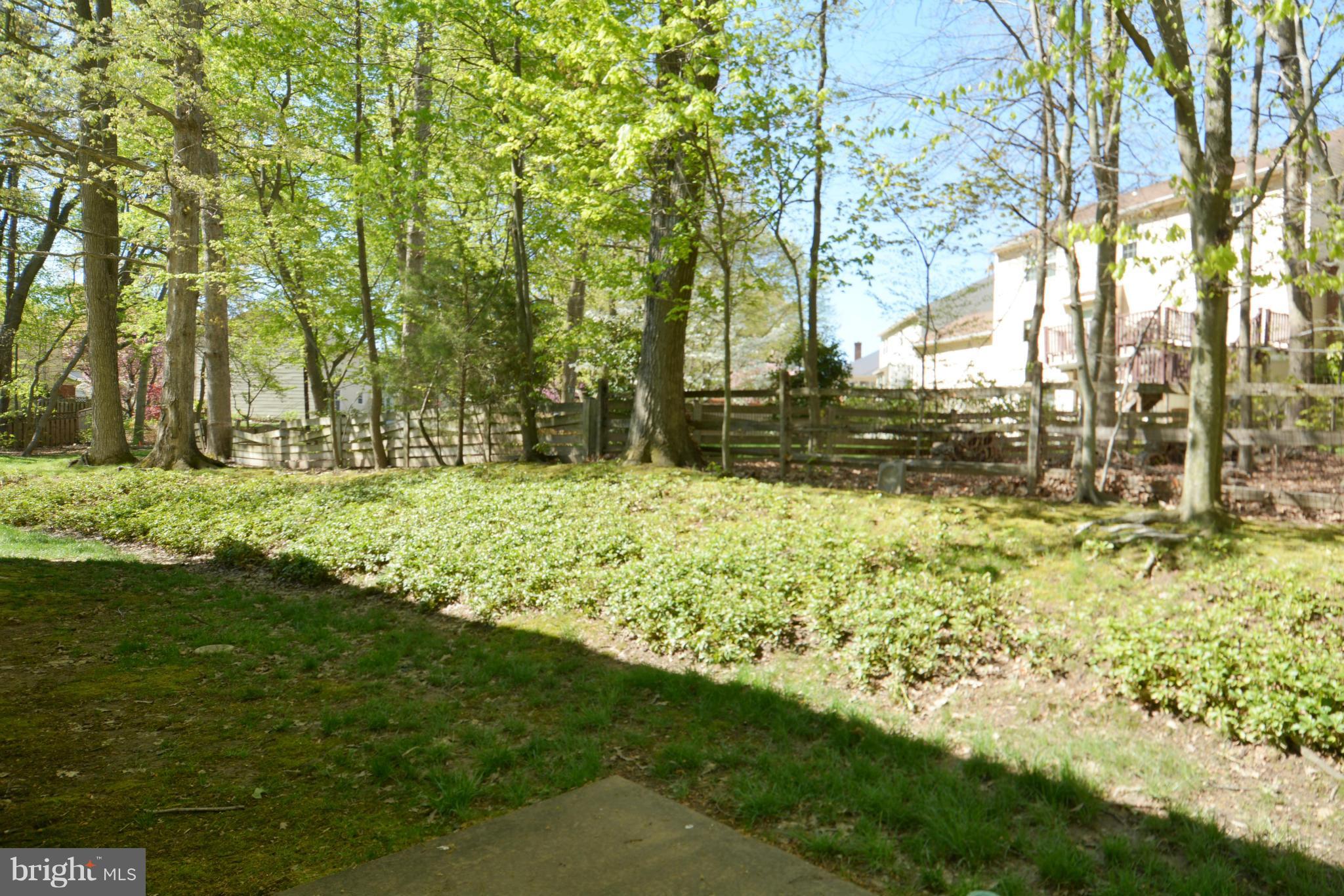 7004 Flax Street Springfield, VA 22152 - Photo 29 of 29 Exterior (Rear)