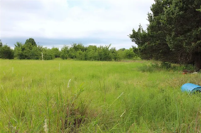 a view of an ocean from a yard