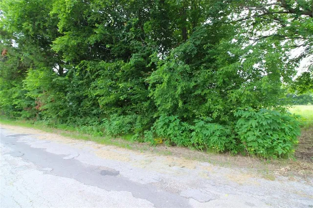 a view of a yard with a plants