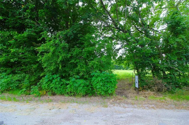 a view of a dirt road with trees in the background