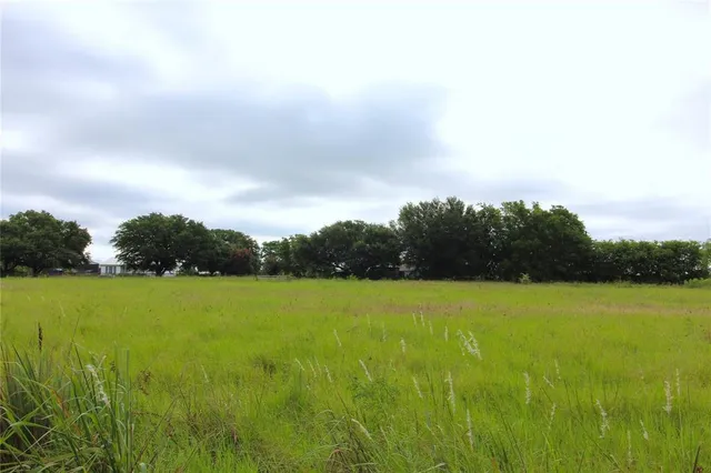 a view of an ocean from a yard