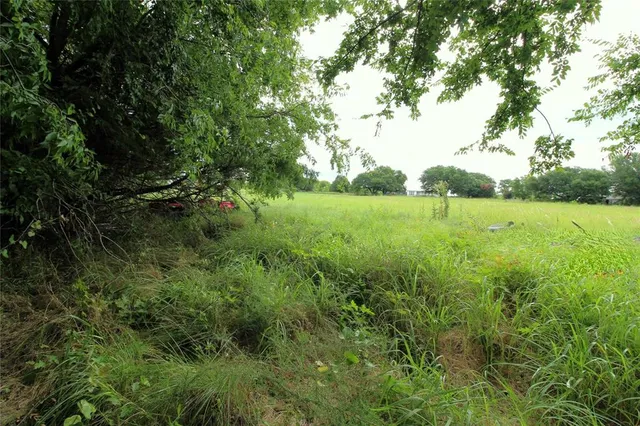 a view of an outdoor space and a yard