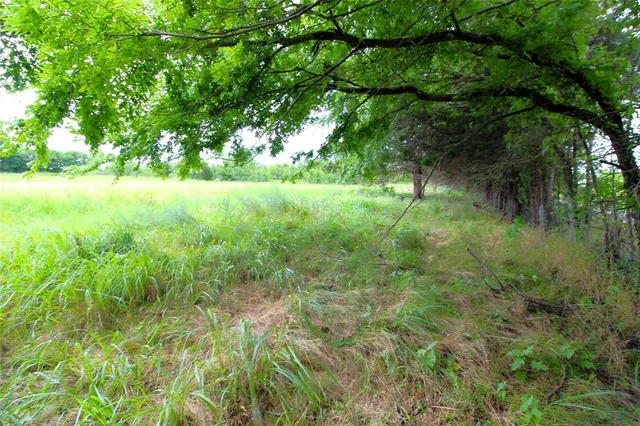 a view of yard with green space