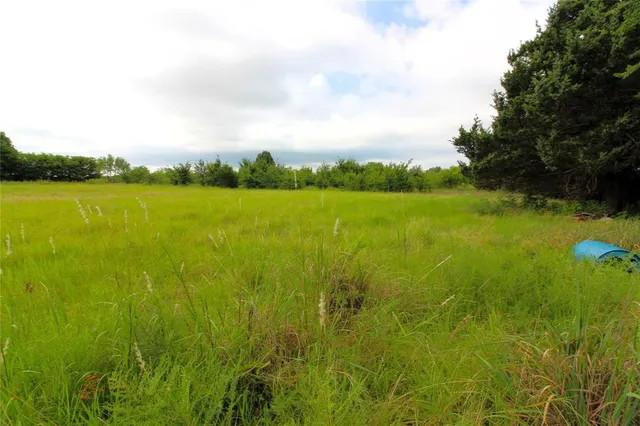 a view of an ocean from a yard