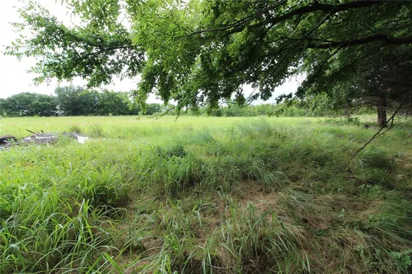 a view of yard with green space