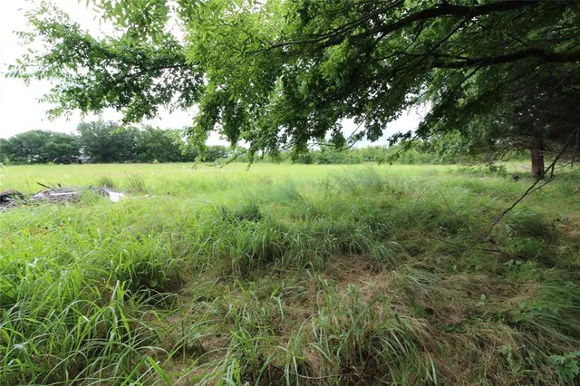 a view of yard with green space