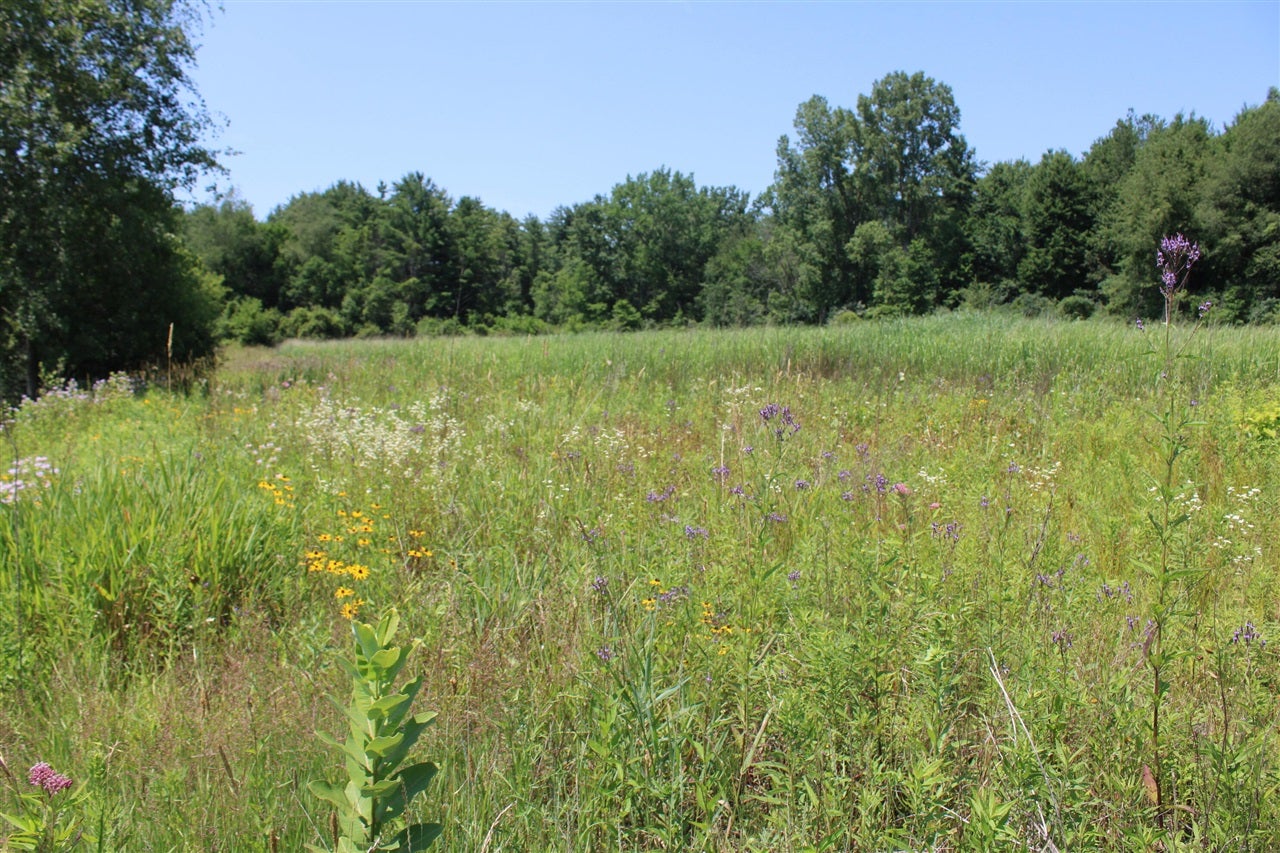 -vl Brown Road Vassar, MI 48768 - Photo 21 of 31 Gallery Image 21
