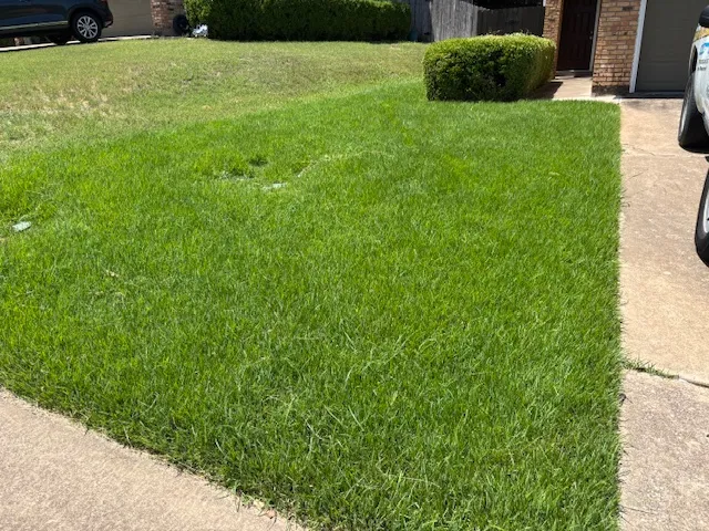 a view of an outdoor space and a yard