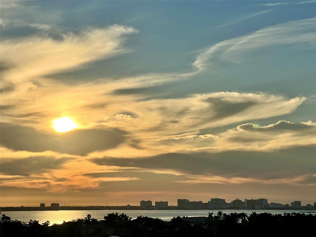 1050 Longboat Club Road, Unit 803 Longboat Key, FL 34228 - Photo 38 of 39