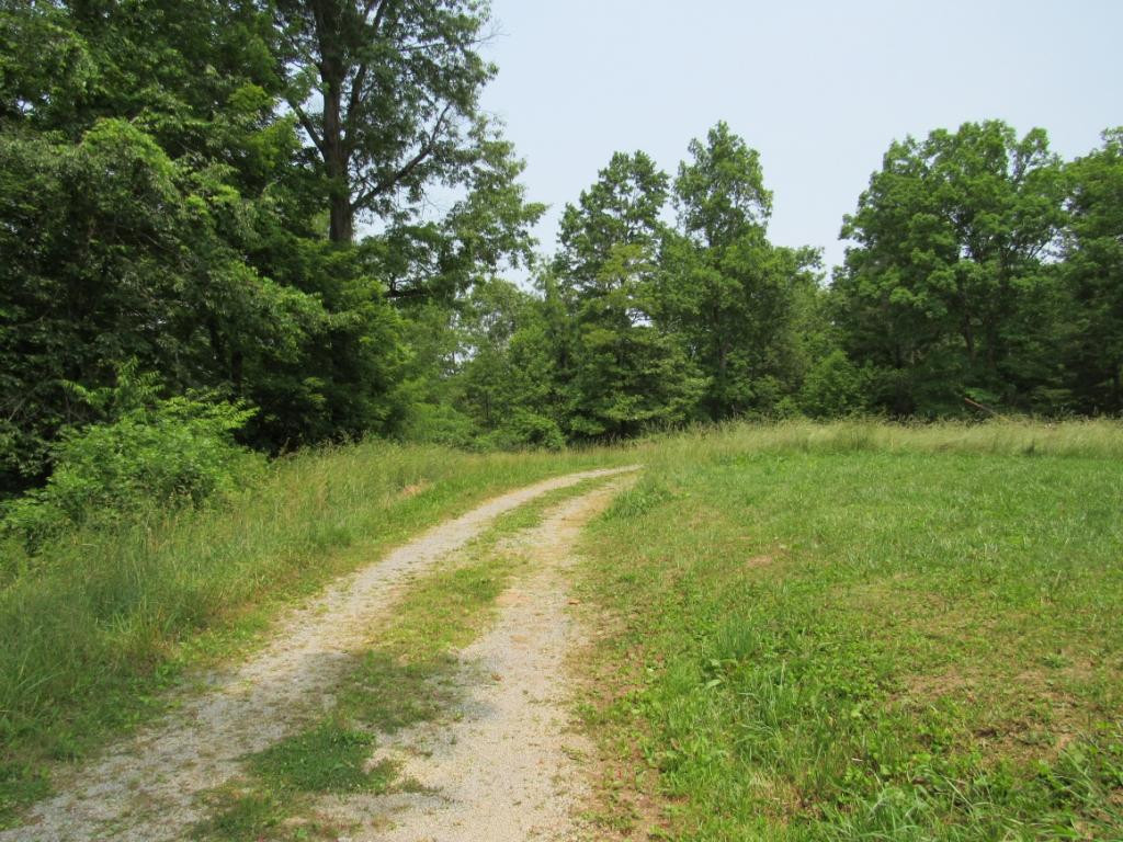 11739 State Rte 606 Keokee, VA 24265 - Photo 23 of 24 Photo 23